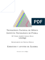 05 Apuntes Algebra LZW PDF