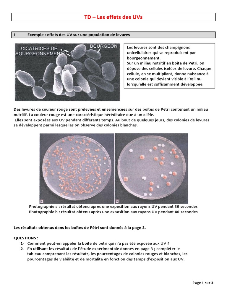 LES EFFETS CONNUS DES UV SUR LA SANT visual data 7