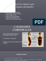 Cavidades Corporales