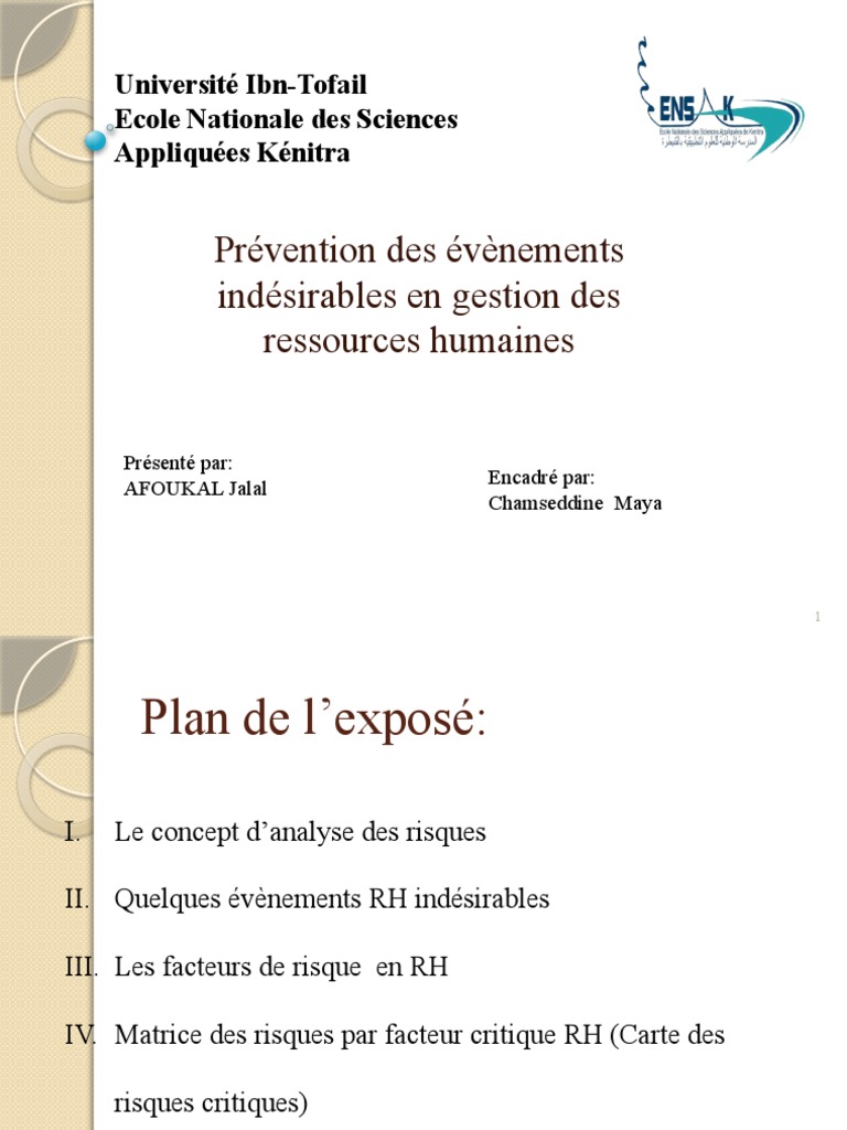 Gestion Des Risques Rh Pdf | Cartographie Des Risques Rh Pdf – MYLP