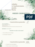 Ordenchiroptera Teoricopractico BN 2022 PDF