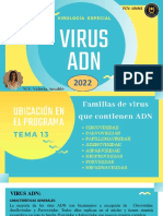 Virus Adn 2022 PDF
