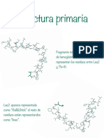 Estructura Primaria