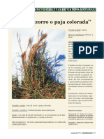 "Cola de Zorro o Paja Colorada": Pasturas - Proyecto Círculo de Campo Natural