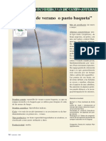 "Espartillo de Verano o Pasto Baqueta": Pasturas - Proyecto Círculo de Campo Natural