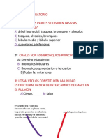 Sistema Respiratorio 1º en Cuantas Partes Se Dividen Las Vias Respiratorias?