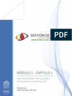 Sistemas de Gestión de La Calidad y Acercamiento A Las Normas ISO PDF