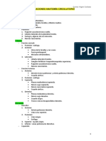 Relaciones Anatomia Circulatorio