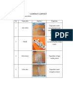 Lampiran Fito PC 3