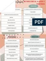 Cuadro Comparativo Del Metabolismo de Fructuosa y Galactosa. Escudero Montaño Karol Nicolás