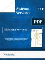 M4°D Presentación Del Sistema Nervioso