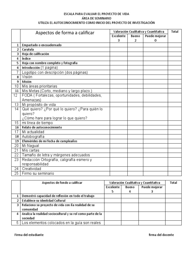Evaluación del Proyecto de Vida | PDF