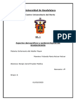 EnvejecimientoDemografico SJFM PDF