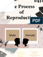 2 The Process of Reproduction - Alsree - Malunjao