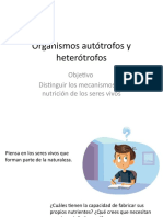 Organismos Autótrofos y Heterótrofos