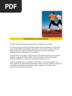 MOVIMIENTOS DEL CUERPO HUMANO