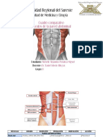 Cuadro Comparativo Músculos de La Pared Abdominal