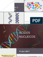 Ácidos Nucleicos