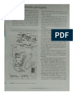 Las corrientes de la educación ambiental