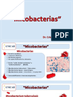 16 - Micobacterias