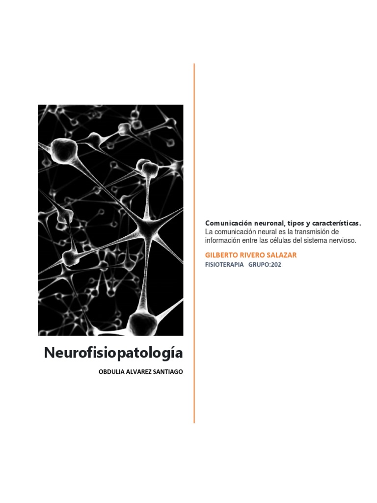 Comunicación Neuronal | PDF | Sinapsis | Neurona
