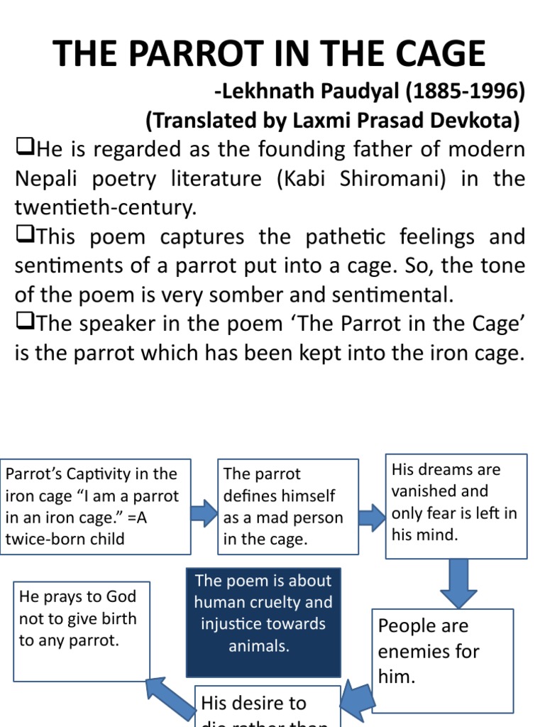 The Parrot in the Cage: A Poetic Analysis | PDF | Poetry