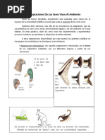 Las Adaptaciones de Los Seres Vivos Al Ambiente