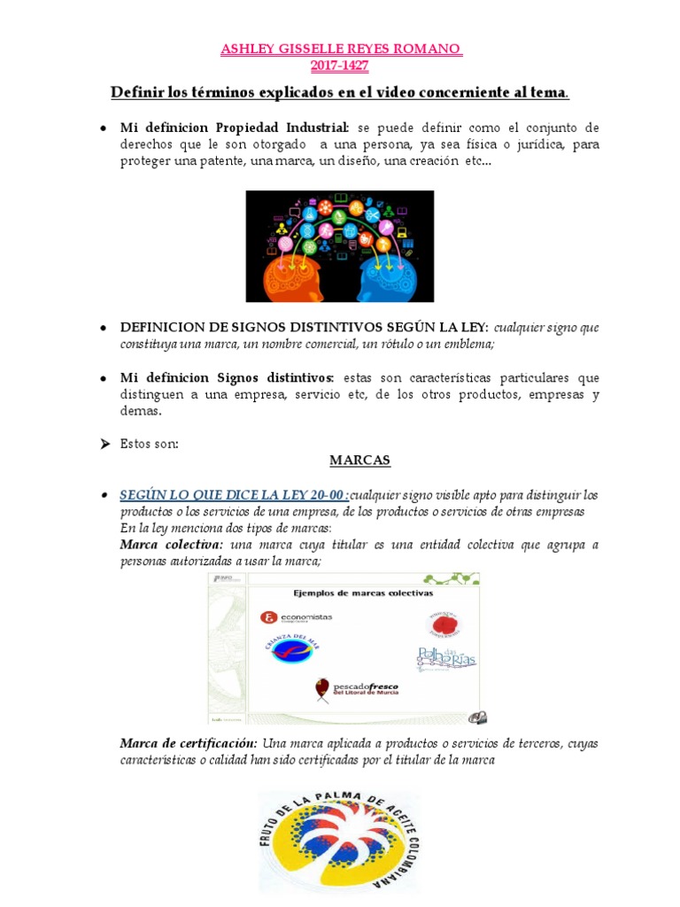 Definiciones Del Video PDF Patentar Marca