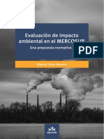 Evaluacion de Impacto Ambiental en El Mercosur Digital