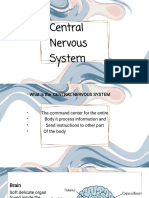Central Nervous-WPS Office PDF