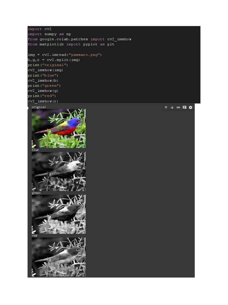 Analyzing and Processing Images with OpenCV and Python: Exploring Color ...