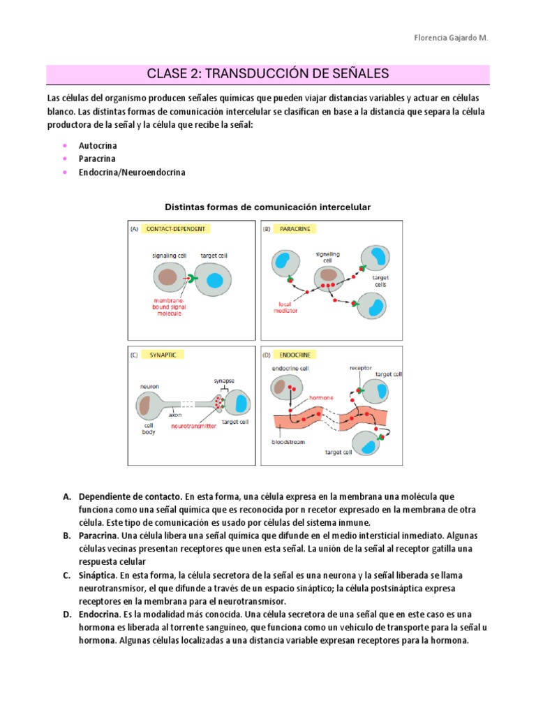 Clase 2 - Transducción de Señales | PDF | Receptor (Bioquímica ...