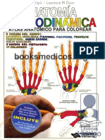 Anatomia Cromodinamica