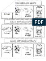 08.03 Ciclo Sapo PDF