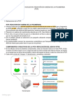 Patomolecular 2 PCR PDF