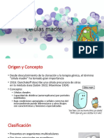 Celulas Madre (2022) PDF