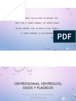 Centrosomas, Centriolos, Cilios y Flagelos PDF