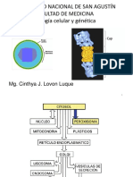 Peroxisomas y Proteasomas 2-06-22 PDF