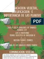 Comunicacion Vegetal, Clasificacion e Importancia de Las Plantas