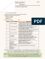 Practica Uno PDF