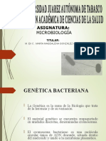 Genetica Bacteriana