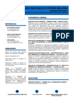 CV LUIS DP Actualizado