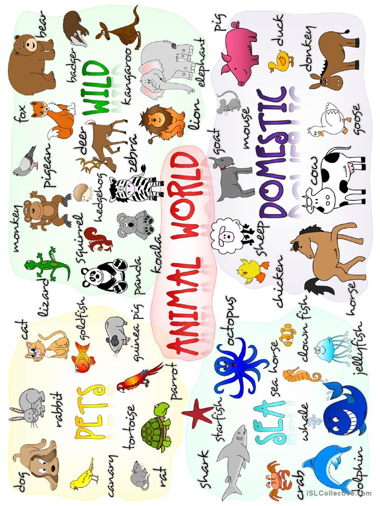 Animals - Poster | PDF
