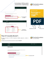 Paso A Paso Curp