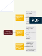 Mapa Cpnceptual