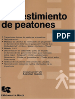 Embestimiento de Peatones - Irureta