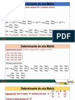 Presentacion 8 Determinantes PDF