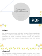 Hac PDF