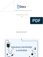 Soluciones Parenterales y Electrolitos 276136 Downloable 1577405 PDF