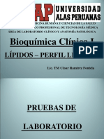 1 Perfil Lipido PDF